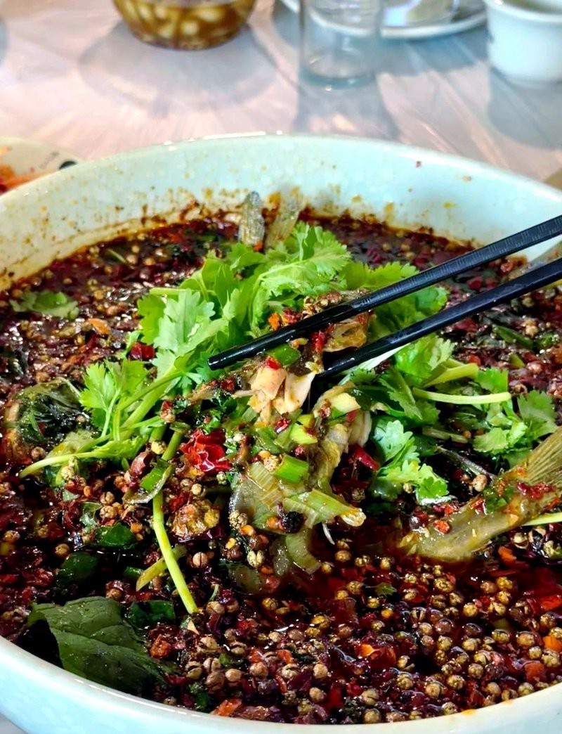 平樂龍魚店，古鎮第一魚(平樂古鎮意外美食發現皮皮icey羅小薇