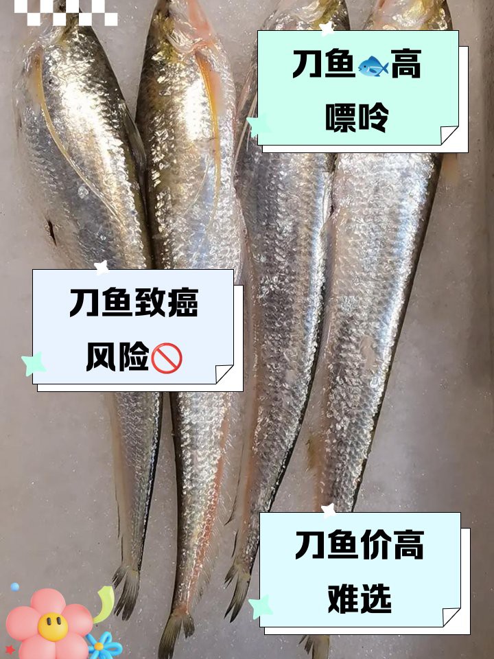 刀魚盡量少吃的原因，關于刀魚的健康問題