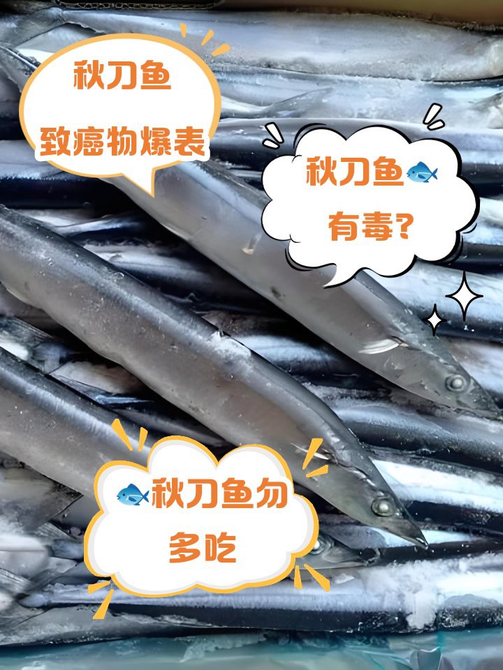 刀魚盡量少吃的原因，關(guān)于刀魚的健康問題 刀魚盡量少吃的原因，關(guān)于刀魚的健康問題 龍魚論壇 第5張