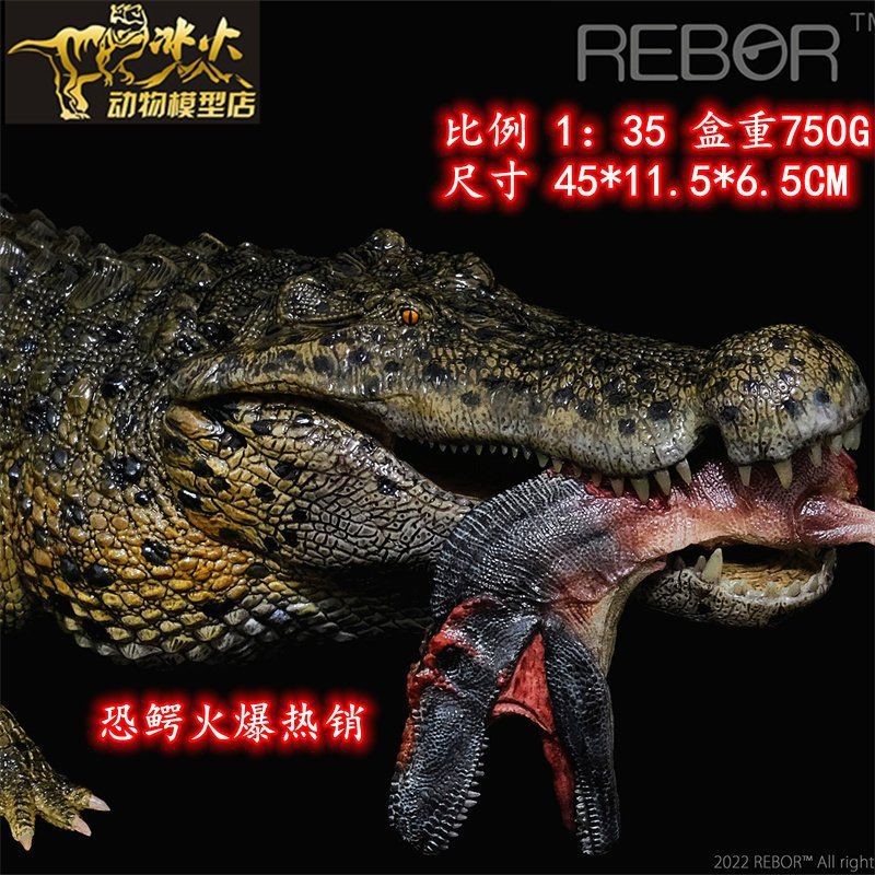 恐龍王魚品種，恐龍王魚是一類具有古老起源的觀賞魚類屬于多鰭魚目多鰭魚科
