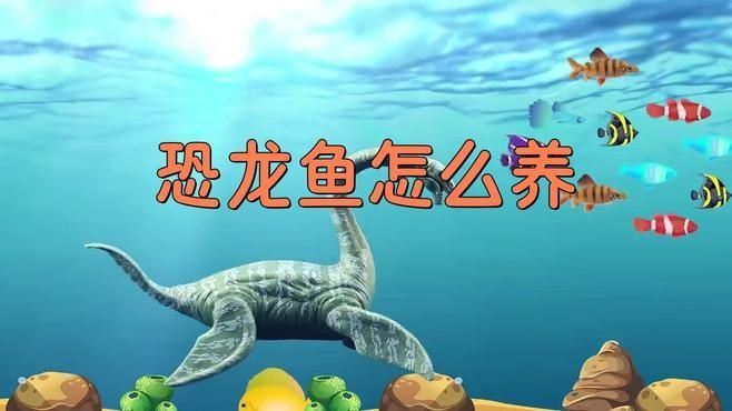 恐龍王魚品種，恐龍王魚是一類具有古老起源的觀賞魚類屬于多鰭魚目多鰭魚科