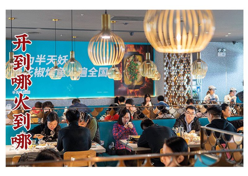 慶云龍魚店，廣州慶云龍魚店\