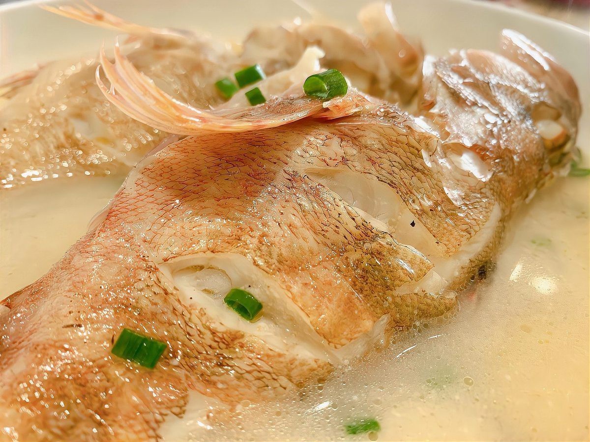 石九公魚是什么檔次的魚，石九公魚的價格