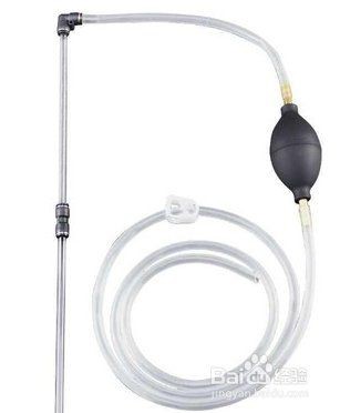 林芝魚缸維護，林芝地區的魚缸維護需結合當地環境與通用養護要點