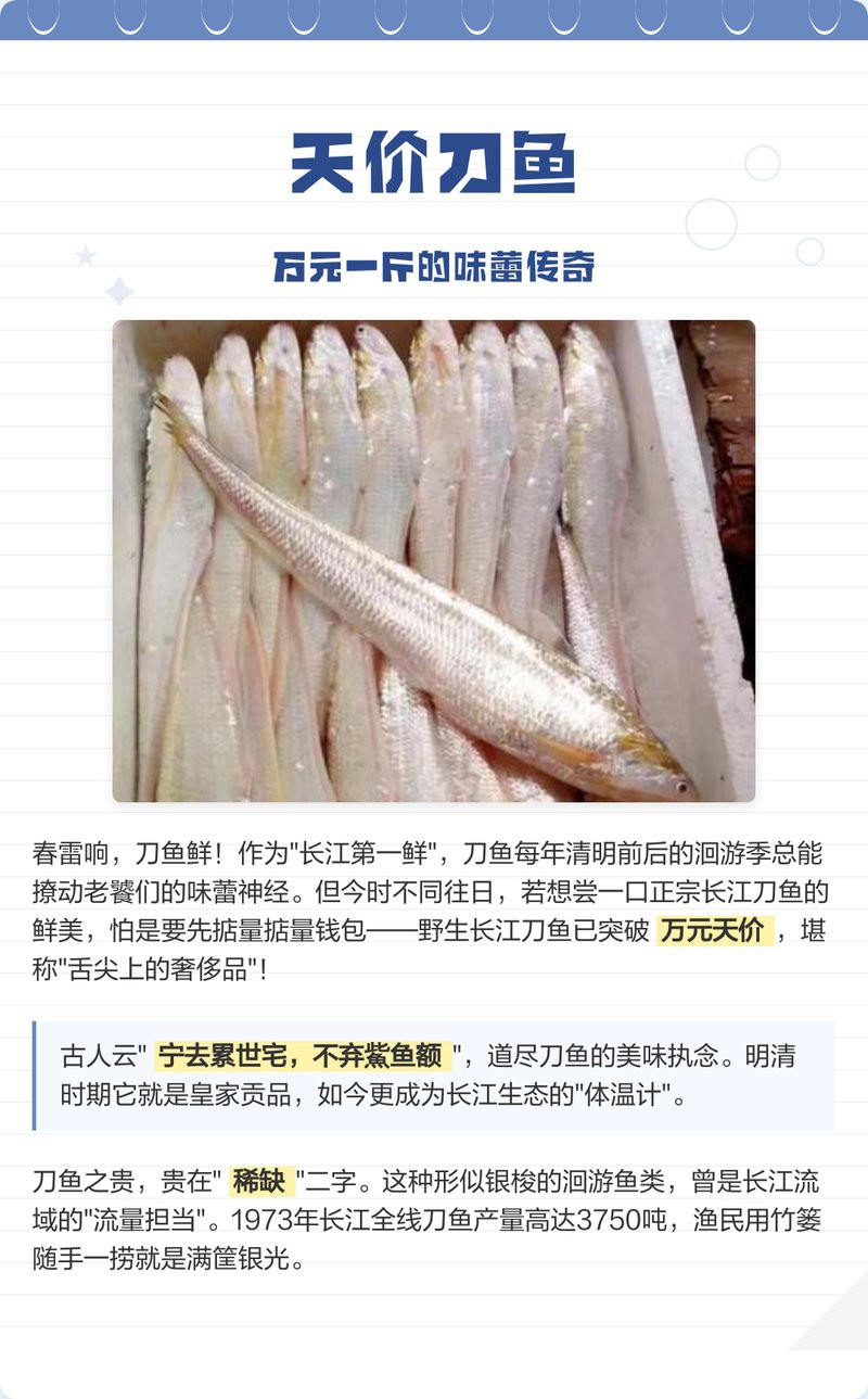 盤錦河刀魚1斤多少錢，盤錦河刀魚價(jià)格圖譜猶如遼河三角洲的水系般錯(cuò)綜復(fù)雜
