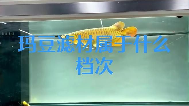 瑪豆的產(chǎn)品怎么樣，優(yōu)菌庫——環(huán)保瑪豆水族生物科技