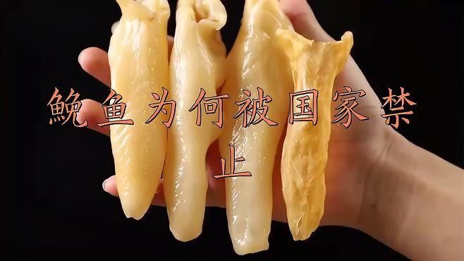 鮸魚為什么很少賣，鮸魚為什么很少賣luna聲韻研習社鮸魚為何被國家禁止阿閱書驛 鮸魚為什么很少賣，鮸魚為什么很少賣luna聲韻研習社鮸魚為何被國家禁止阿閱書驛 龍魚百科 第2張