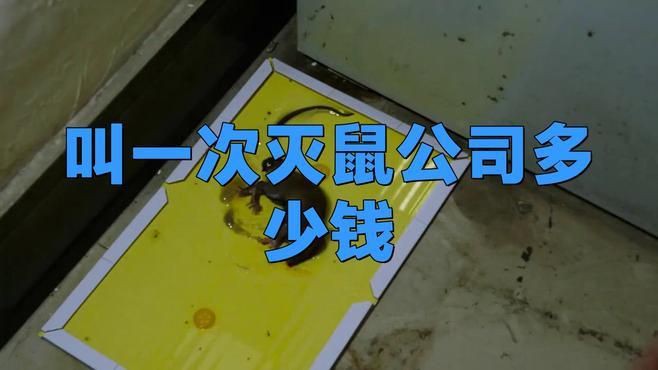 滅鼠公司上門收費標準，《滅鼠公司上門收費標準》