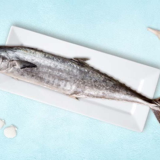 東北吃的燕魚是什么魚，東北食用地區(qū)的“燕魚”