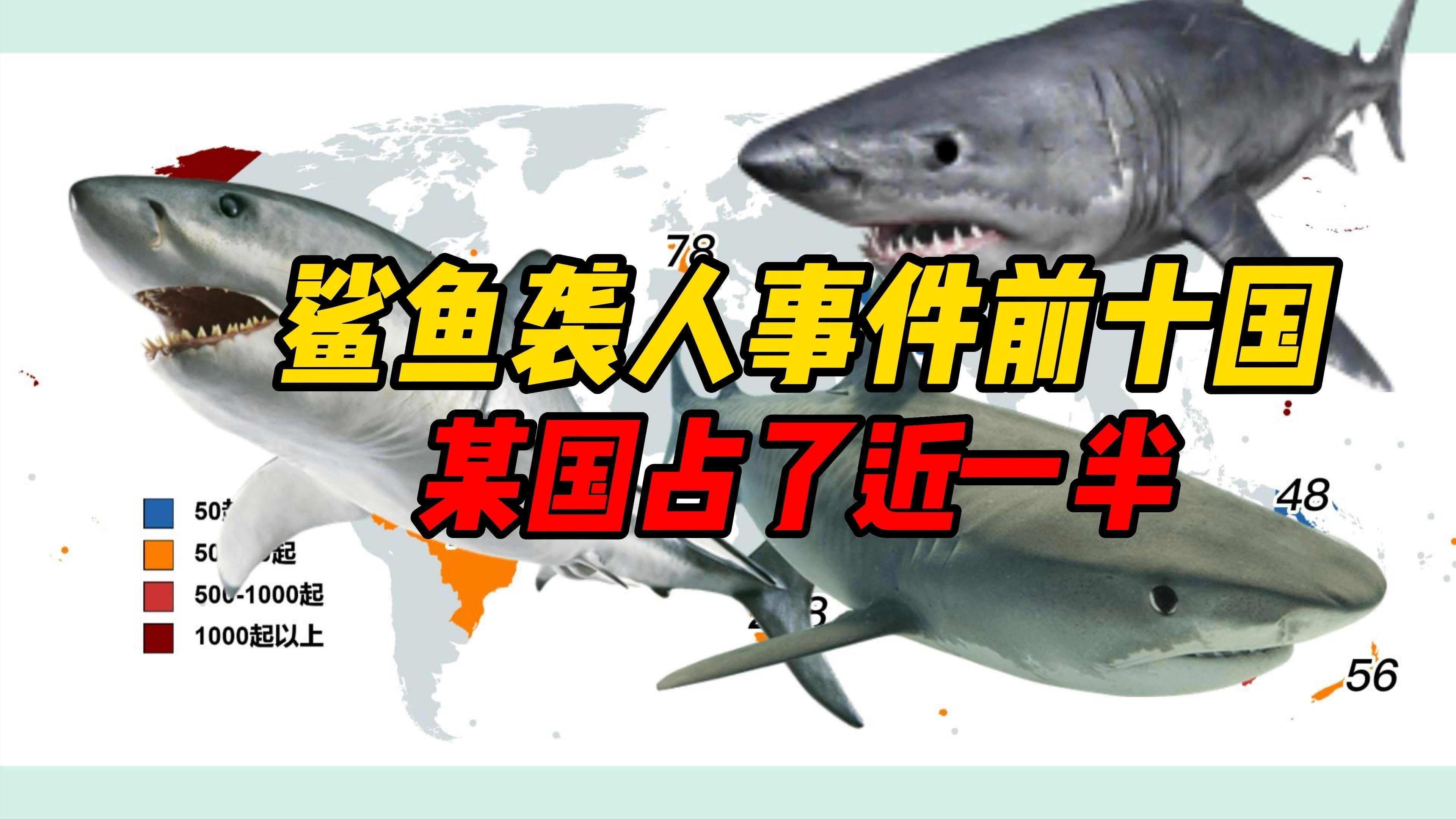 每年有多少人被鯊魚吃了，全球平均每年會(huì)有83人無(wú)端被鯊魚襲擊