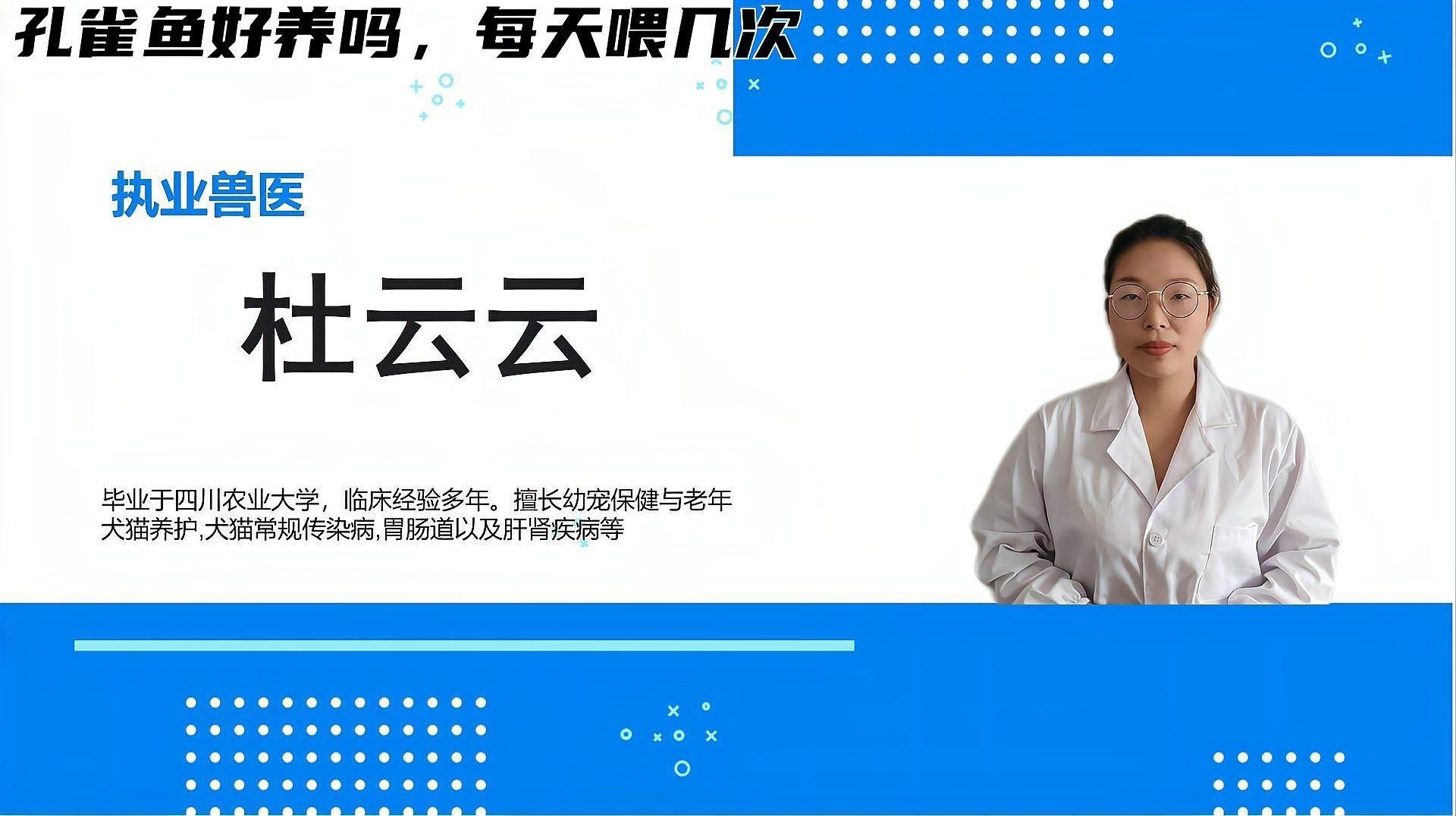 瑪麗魚和孔雀魚哪個好養活，《瑪麗魚和孔雀魚哪個好養活》