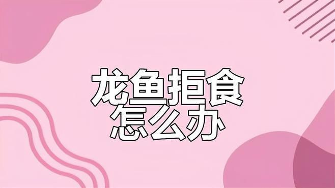 有沒有其他方法治療龍魚厭食？，龍魚厭食原因及治療方法全解析龍魚厭食原因及治療方法