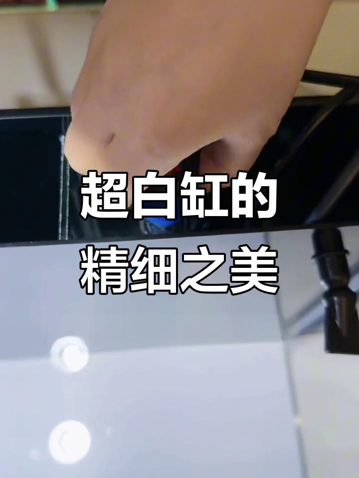 白缸養魚的優缺點，《白缸養魚的優缺點》