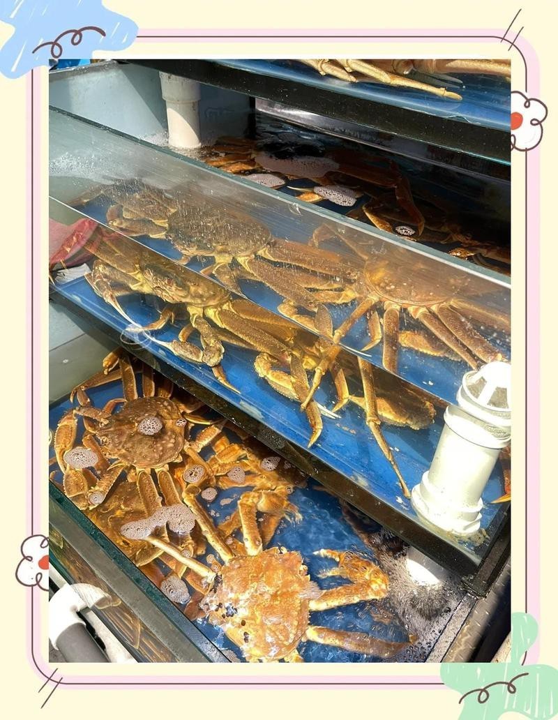 延吉水族店，延吉市哪家水族店最大