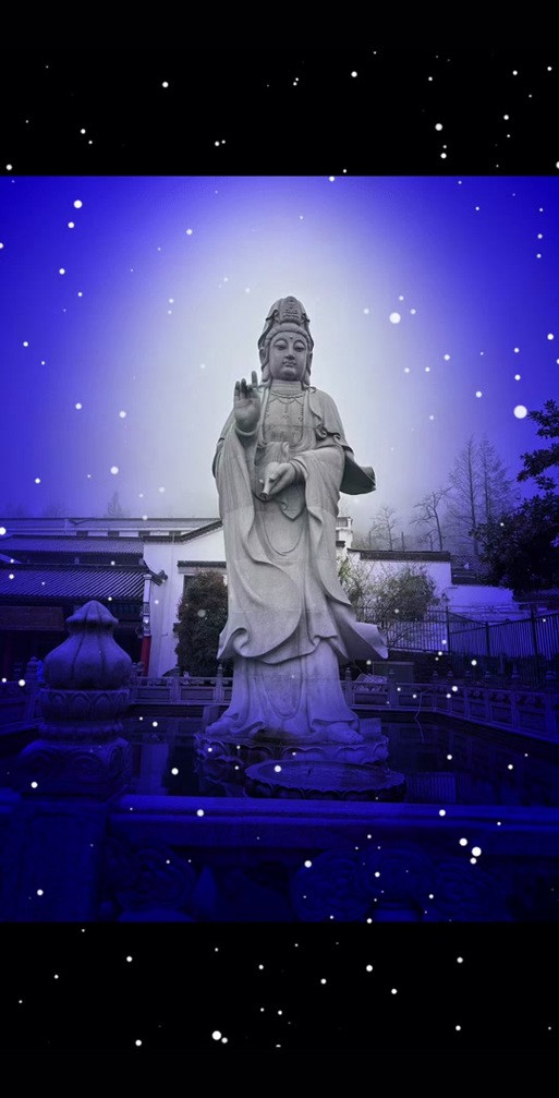 佛與魚的圖片，《佛與魚的圖片》——佛與魚的奇妙相遇