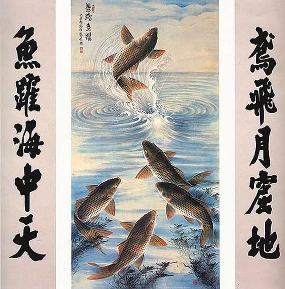 佛與魚的圖片，《佛與魚的圖片》——佛與魚的奇妙相遇