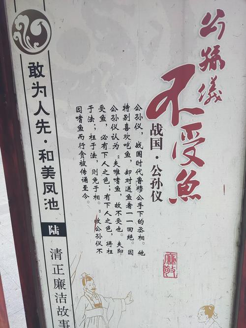 佛與魚的圖片，《佛與魚的圖片》——佛與魚的奇妙相遇