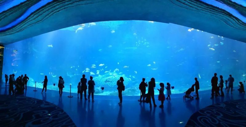 國家水族館名錄一覽表最新版，《國家水族館名錄一覽表》全面梳理了國內(nèi)外知名水族館信息