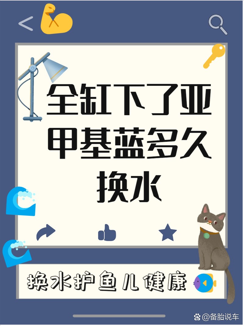 全缸下了亞甲基藍多久換水，亞甲基藍使用亞甲基藍使用后的科學換水策略、換水策略