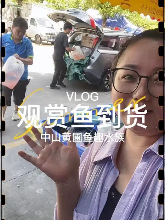 林州水族店，林州擁有多家特色水族店，涵蓋觀賞魚銷售、魚缸定制等業務