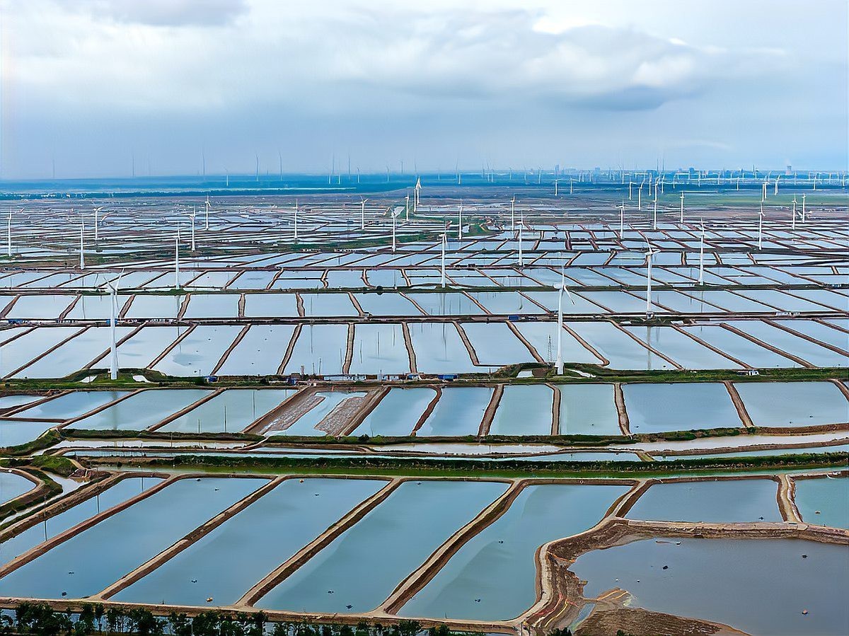 前十名水產(chǎn)魚藥大廠家，中國水產(chǎn)魚藥行業(yè)十大領(lǐng)軍品牌全景解析（2025版） 前十名水產(chǎn)魚藥大廠家，中國水產(chǎn)魚藥行業(yè)十大領(lǐng)軍品牌全景解析（2025版） 龍魚論壇 第1張