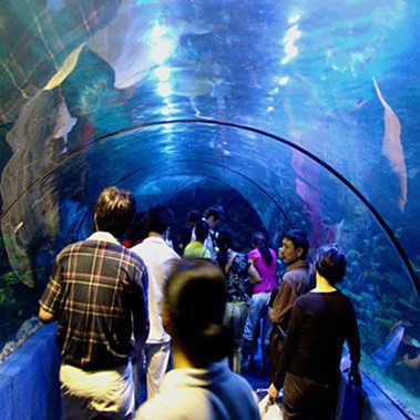 金華水族店，揭秘金華水族店經(jīng)營范圍有哪些
