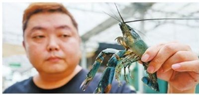 全粵村情珠海斗門區卷，《全粵村情珠海斗門區鄉村振興主戰場》 全粵村情珠海斗門區卷，《全粵村情珠海斗門區鄉村振興主戰場》\