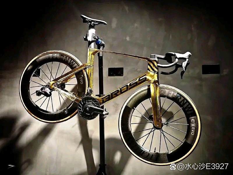 世界上最貴的自行車排名第一，世界最貴的自行車——蝴蝶