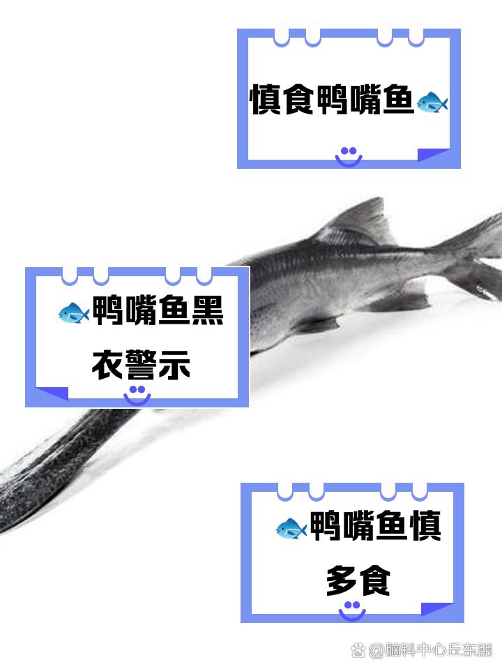 什么人不可以吃鴨嘴魚，什么人不可以吃鴨嘴魚，鴨嘴魚的食用禁忌人群需謹慎