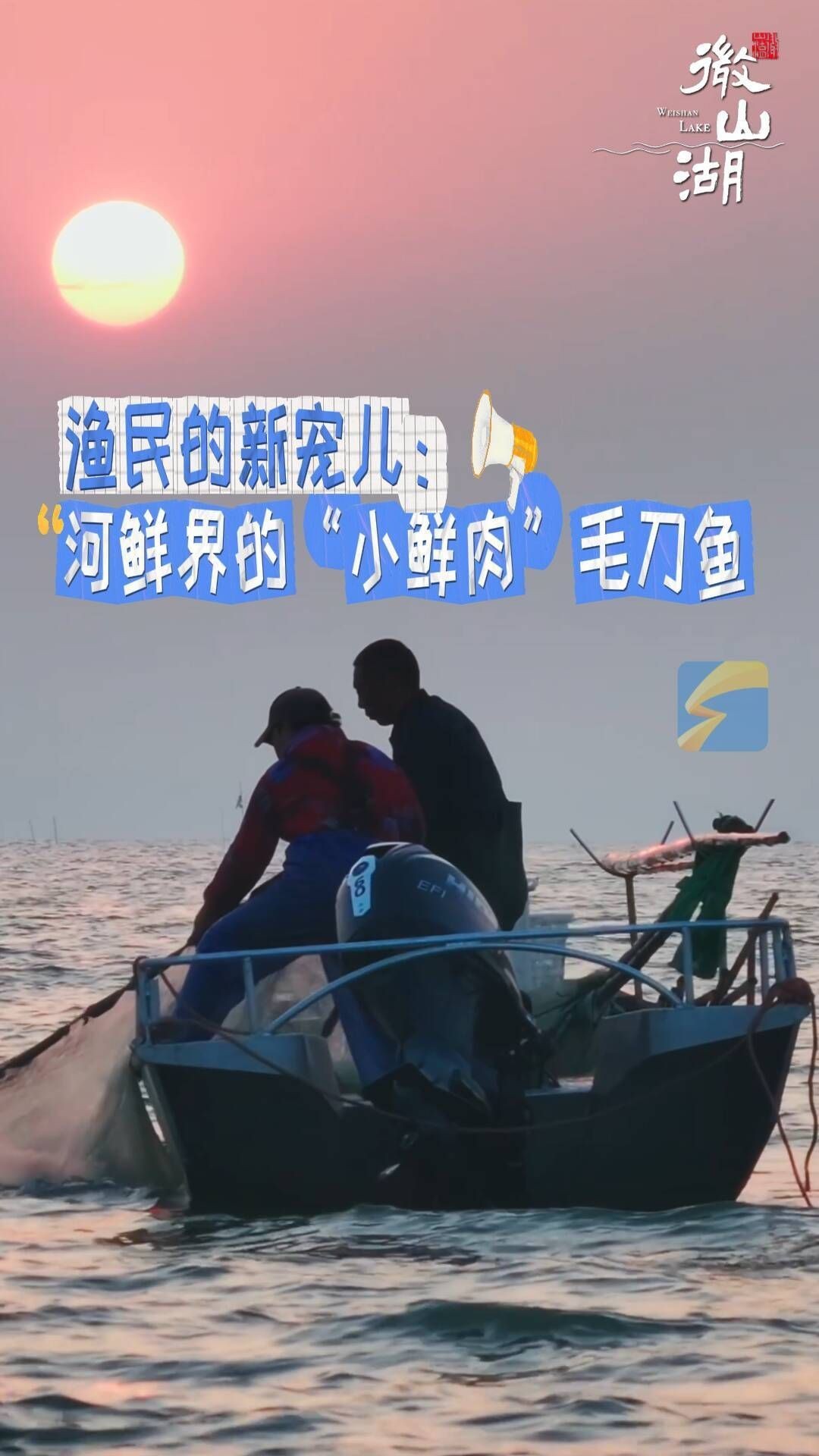 毛刀魚的圖片，河鮮界的“小鮮肉”毛刀魚