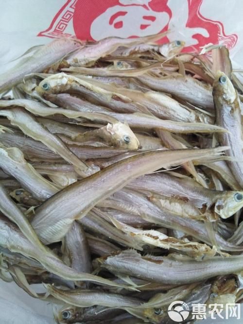 毛刀魚的圖片，河鮮界的“小鮮肉”毛刀魚