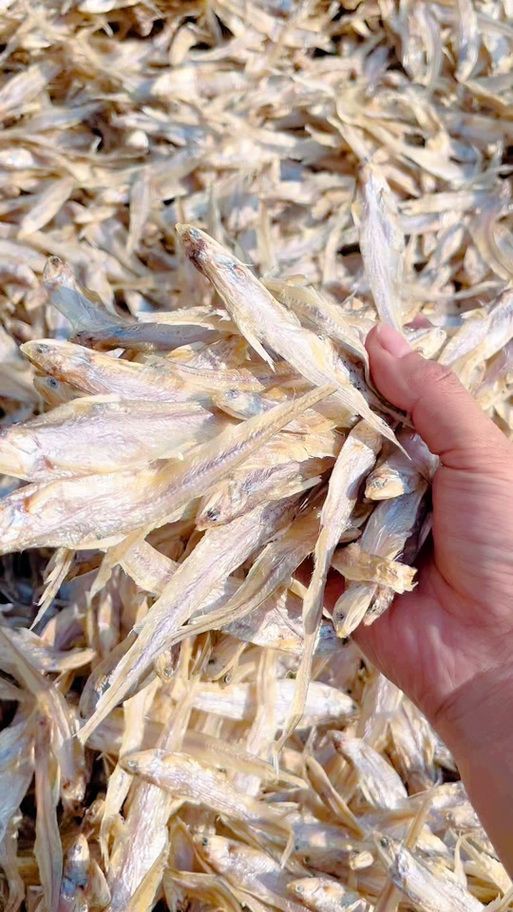 毛刀魚的圖片，河鮮界的“小鮮肉”毛刀魚