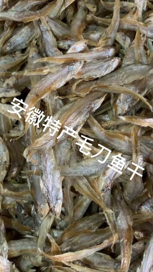 毛刀魚的圖片，河鮮界的“小鮮肉”毛刀魚
