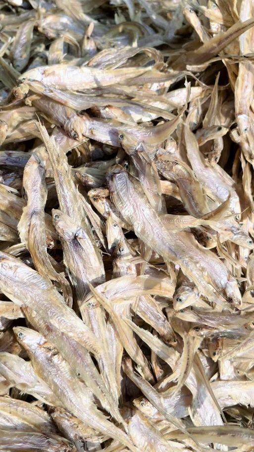 毛刀魚的圖片，河鮮界的“小鮮肉”毛刀魚