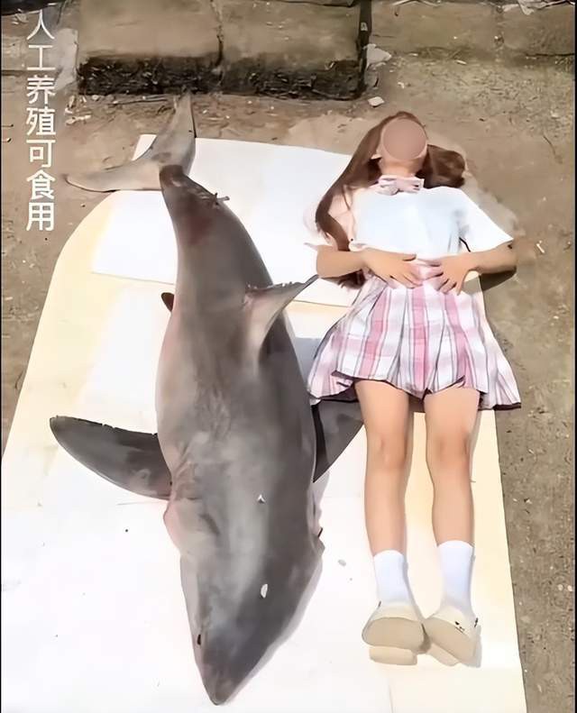 中國唯一一只金色鯊魚，《中國唯一一只金色鯊魚》