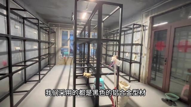 馬來西亞七彩神仙魚漁場，八哥的七彩神仙魚帶你參觀馬來西亞檳城的一家七彩神仙魚漁場 馬來西亞七彩神仙魚漁場，八哥的七彩神仙魚帶你參觀馬來西亞檳城的一家七彩神仙魚漁場 龍魚百科 第3張