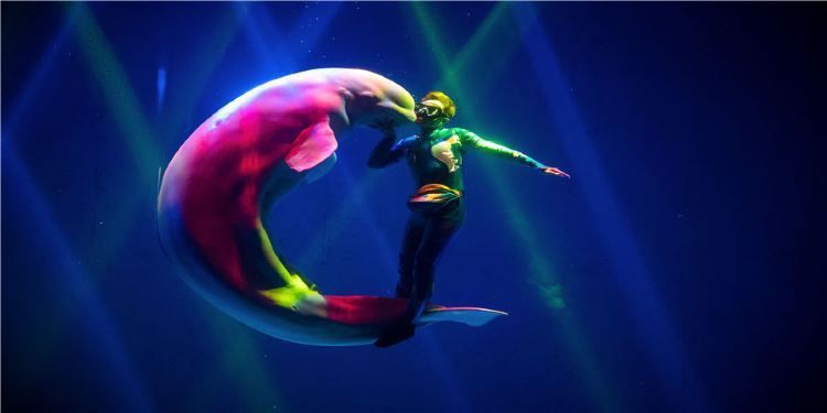 蕪湖水族館,揚的音樂館,蕪湖大白鯨 全國水族館企業名錄 第14張 蕪湖水族館,揚的音樂館,蕪湖大白鯨 蕪湖水族館,揚的音樂館,蕪湖大白鯨 全國水族館企業名錄 第14張