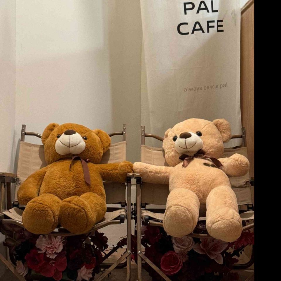 漢中魚缸維護，漢中地區的魚缸維護需注重多個關鍵環節，漢中魚缸維護需注意