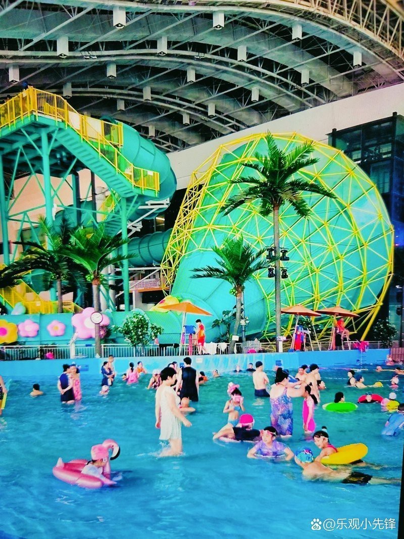 新干水族店，開個水族店投資多少錢