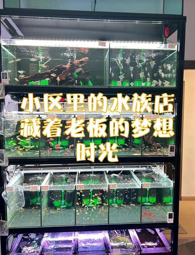 新干水族店，開個水族店投資多少錢