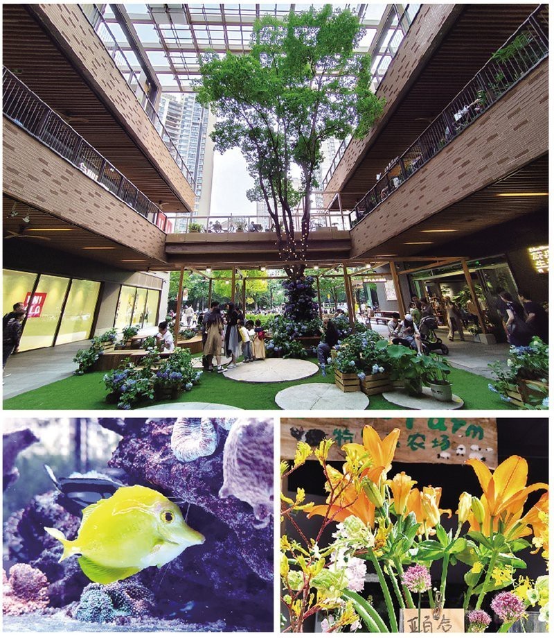 上海最大花鳥市場(chǎng)排名，上海最大的花鳥市場(chǎng)