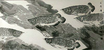 古縣龍魚店，六小六豆花魚(古縣店) 古縣龍魚店，六小六豆花魚(古縣店) 全國水族館企業(yè)名錄 第2張