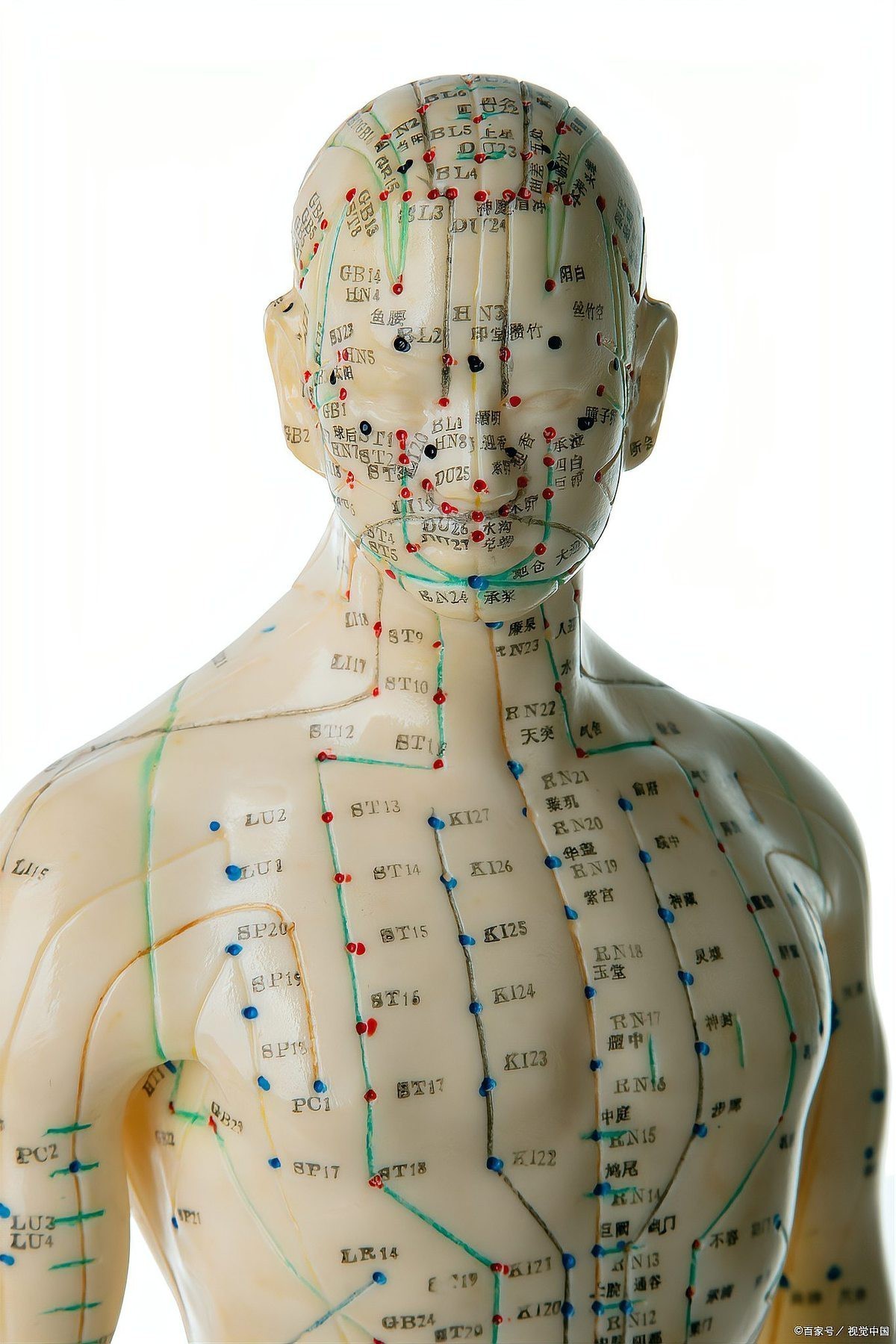 人體身上龍脈是什么，人體“龍脈”是怎么開發的？ 人體身上龍脈是什么，人體“龍脈”是怎么開發的？ 龍魚論壇 第4張