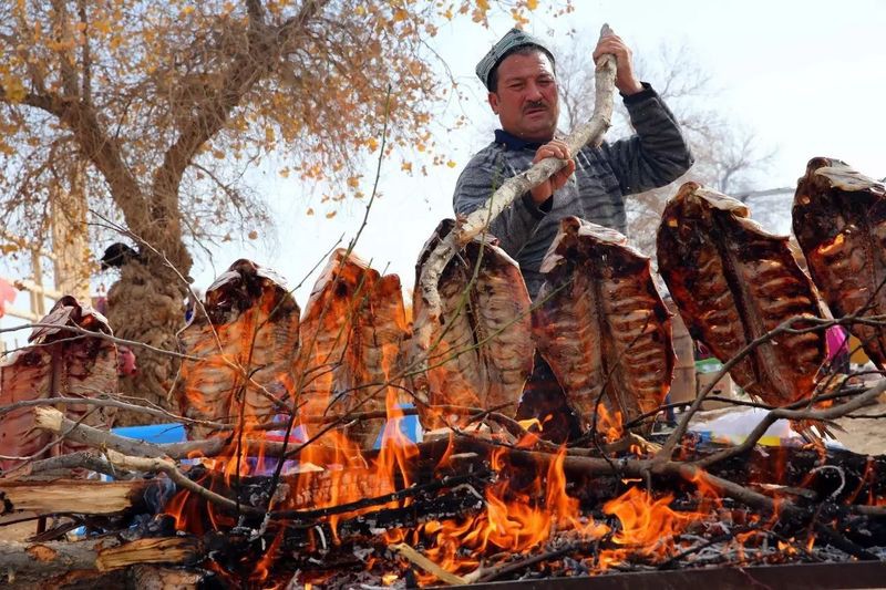巴楚龍魚店，巴楚龍魚店的主營產品有哪些巴楚龍魚店的服務評價
