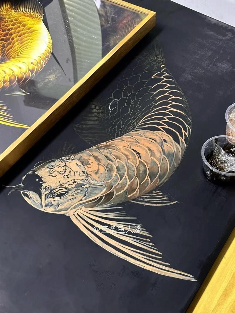 神木龍魚店，——神木龍魚擺件的典型征兆 神木龍魚店，——神木龍魚擺件的典型征兆 全國水族館企業名錄 第3張