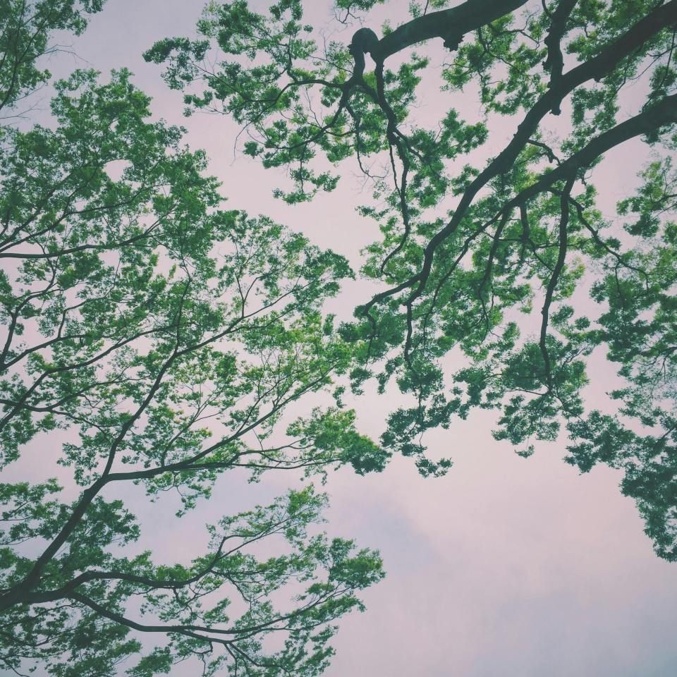 神木龍魚店，——神木龍魚擺件的典型征兆 神木龍魚店，——神木龍魚擺件的典型征兆 全國水族館企業名錄 第7張