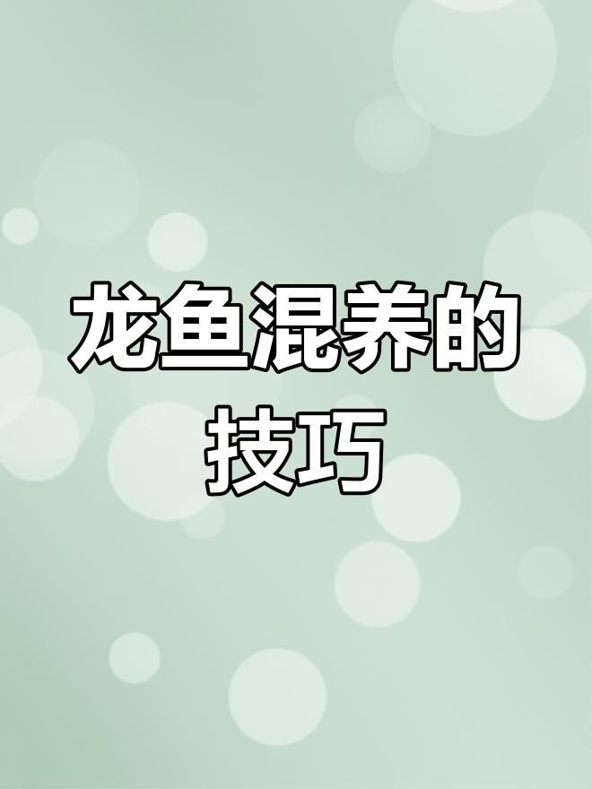 混養(yǎng)龍魚時如何避免爭斗？，混養(yǎng)龍魚如何避免爭斗