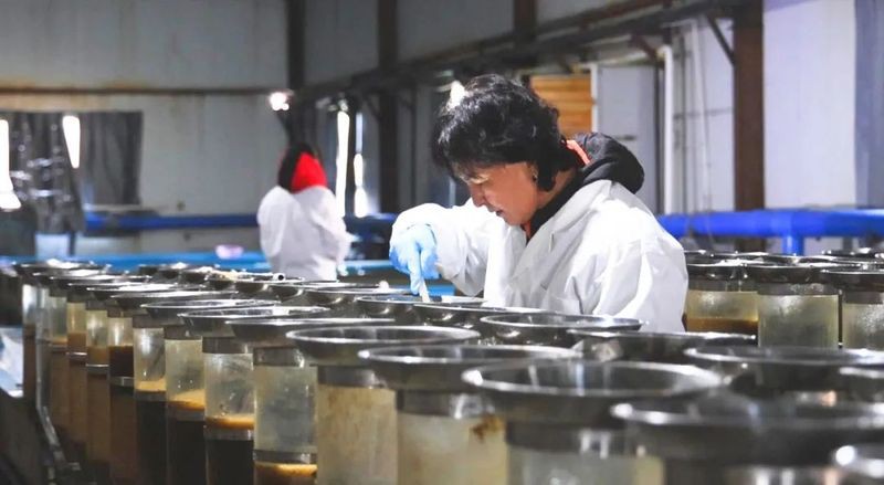 博州龍魚店，博州有沒有龍魚養殖場