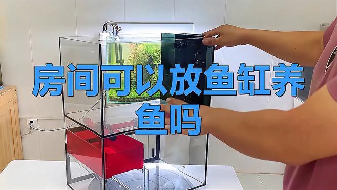 為什么不建議家里養魚，《為什么不建議家里養魚》 為什么不建議家里養魚，《為什么不建議家里養魚》 龍魚論壇 第6張