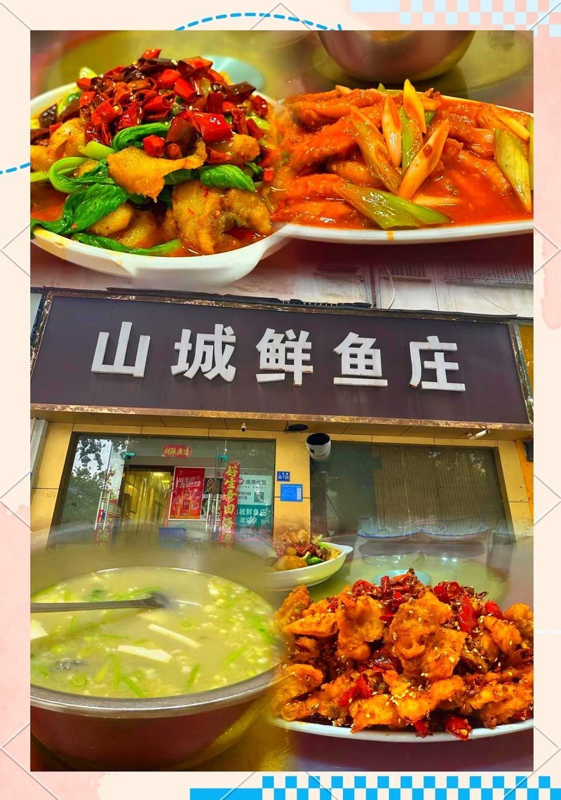 鞏義龍魚店，鞏義有龍魚專賣店嗎